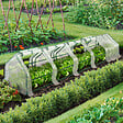 ID MARKET - Serre châssis de jardin spéciale forçage L.300 CM blanche - vignette