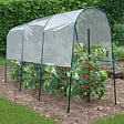 ID MARKET - Serre à tomates 4 M - vignette
