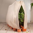 ID MARKET - Housse d'hivernage pour plante et arbuste 120 x 180 cm - vignette