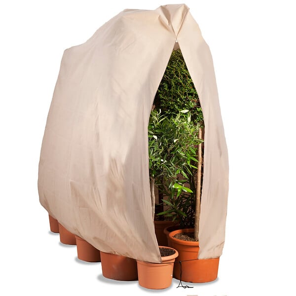 ID MARKET - Housse d'hivernage pour plante et arbuste 120 x 180 cm - large