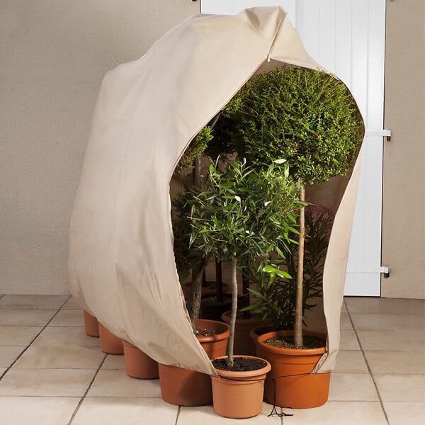 ID MARKET - Lot de 3 housses d'hivernage pour plante et arbuste 80 x 160 cm - large
