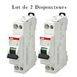 ABB - Lot de 2 disjoncteurs Ph+N raccordement Vis 32A-4,5Ka - Courbe C-ABB - vignette