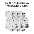 SIEMENS - Lot de 3 Disjoncteurs électriques phase + neutre 2A-SIEMENS - vignette
