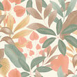 RASCH - Vgi tropico orange - vignette