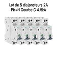 SIEMENS - Lot de 5 Disjoncteurs électriques phase + neutre 2A-SIEMENS - vignette