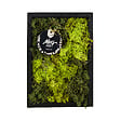 BLOOMIQUE - Tableau Mousse - Rectangulaire - Sans Entretien - Décoration Murale - En vraie mousse - vignette