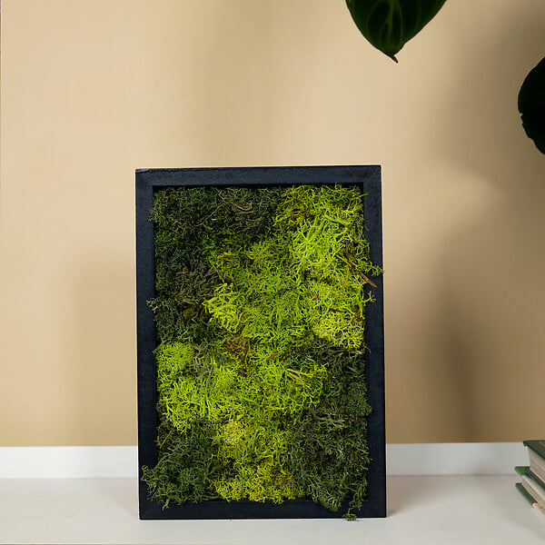 BLOOMIQUE - Tableau Mousse - Rectangulaire - Sans Entretien - Décoration Murale - En vraie mousse - large