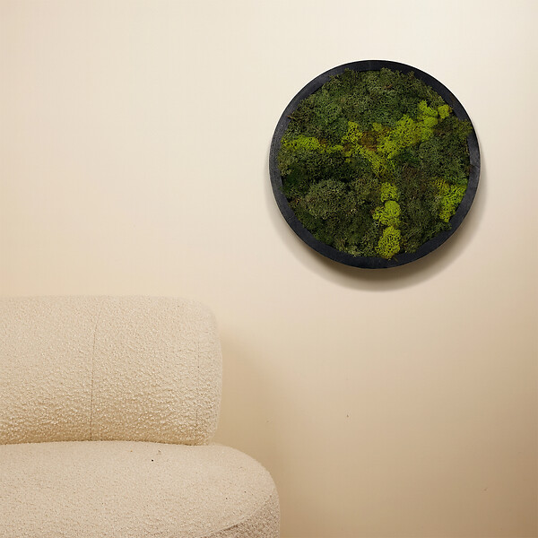 BLOOMIQUE - Tableau Mousse - Rond - Sans Entretien - Décoration Murale - En vraie mousse - Diamètre 38 cm - large