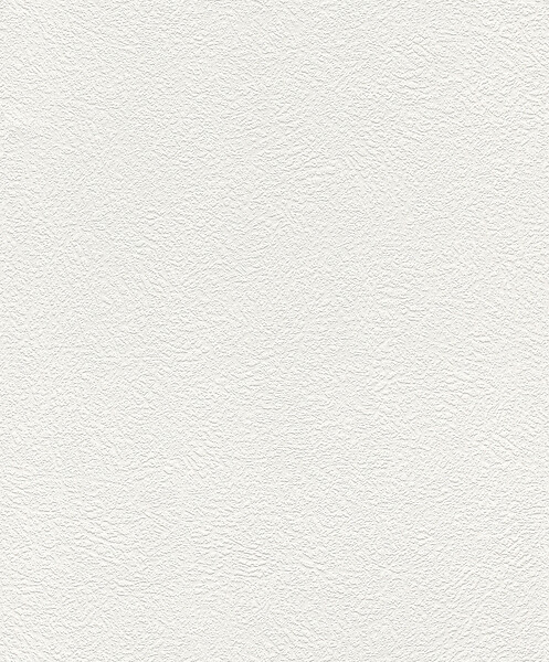 RASCH - Papier expanse sur papier enduit projete fin - large