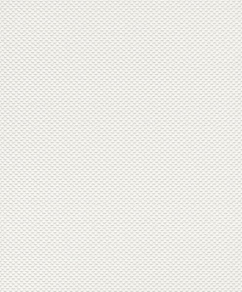 RASCH - Papier expanse sur papier canevas - large