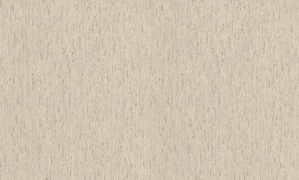 RASCH - Vgi 1.06 btn xl - large