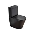 SWISS AQUA TECHNOLOGIES - Swiss Aqua Technologies Infinitio WC à poser complet en céramique avec abattant SoftClose, noir mat (SATINF031VPSNBKM) - vignette