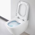 VILLEROY & BOCH - Pack WC bâti-support sol-mur + WC suspendu sans bride Roca avec abattant SoftClose + plaque (VBROGAWR01-FR) - vignette