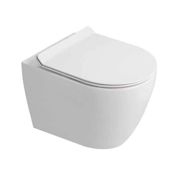 GEBERIT - Duofix pack WC bâti-support UP100 + WC suspendu sans bride Ceramia avec abattant SoftClose + plaque blanche (GEBCEPXWT01FR-FS) - large