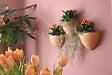ARTITEQ - Kit complet avec cimaise Click Rail pour suspension cache-pot de fleur Botaniq - Artiteq - vignette