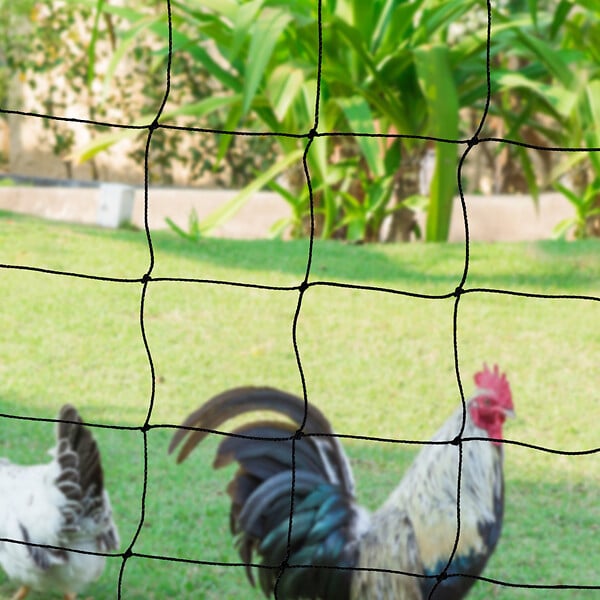 ID MARKET - Kit clôture filet à poules 24 M avec porte 9 piquets double pointe - large