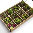 ID MARKET - Carré potager 12 compartiments + housse serre châssis - vignette
