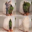 ID MARKET - Housse d'hivernage pour plante et arbuste 200 x 240 cm - vignette