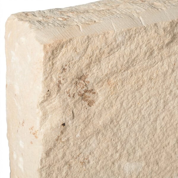 RO'MA NATURE - Bordure de jardin Grès Kandla Beige 50x20x8 cm (à l'unité) - large