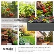 TECTAKE - Bac à fleurs surélevé anthracite en acier galvanisé 200x100x62cm 1200L jardinière potager ergonomique drainage ouvert culture légumes - vignette