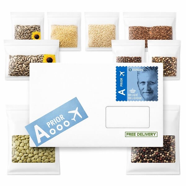 ARBORIX - Buzzy Sunny Flowers Tournesol Henri Wilde Semences - Ca. 4 gr (Livraison Gratuite) - large