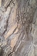 PROTOCOLE HOME - Panneau mural effet marbre ORABICA 122x260 cm 3 mm - vignette