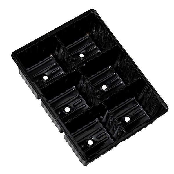 WINDHAGER - Plaque pour semis 4 x 6 alvéoles - large
