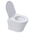 ROCA - Pack WC bâti-support + WC suspendu sans bride Swiss Aqua Technologies avec abattant SoftClose + plaque (ROSTINWR01-FR) - vignette