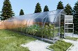 KLASIKA GREENHOUSES - Serre de jardin KLASIKA*DROP 30m2, 2,5m x 12m, 4 mm avec revêtement en polycarbonate - vignette