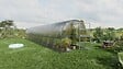 KLASIKA GREENHOUSES - Serre de jardin KLASIKA BALTIC LT 3 x 10 m (30 m²), 4 mm avec revêtement en polycarbonate - vignette