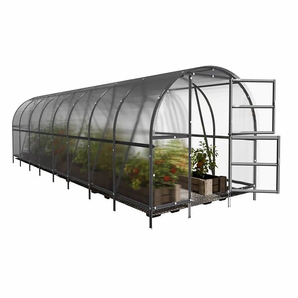 KLASIKA GREENHOUSES - Serre de jardin KLASIKA BALTIC LT 3 x 8 m (24 m²), 4 mm avec revêtement en polycarbonate - large