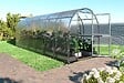 KLASIKA GREENHOUSES - Serre de jardin KLASIKA SLIM 2 x 6 m (12 m²) , 4 mm avec revêtement en polycarbonate - vignette