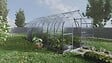 KLASIKA GREENHOUSES - Serre de jardin KLASIKA Standard 15m2, 2,5m x 6m, 4 mm avec revêtement en polycarbonate (Avec 3 toits ouvrants automatiques) - vignette