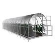 KLASIKA GREENHOUSES - Serre de jardin KLASIKA ARCH 3 x 12 m (36 m²), 4 mm avec revêtement en polycarbonate - vignette