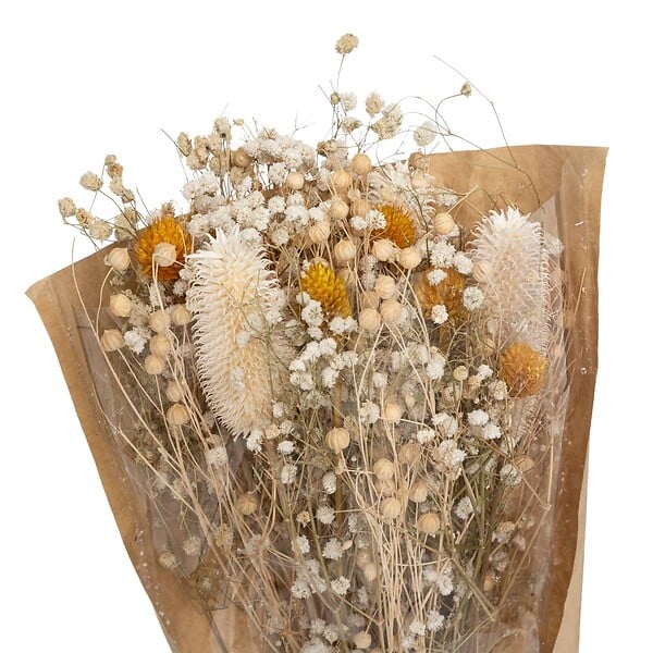 ATMOSPHERA - Bouquet de Fleurs Séchées D. 19 x H. 48 cm - large
