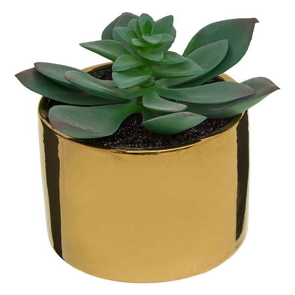 ATMOSPHERA - Plante verte artificielle Pot en céramique H 15 cm - large