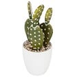 ATMOSPHERA - Plante artificielle Cactus en pot H 18 cm - vignette