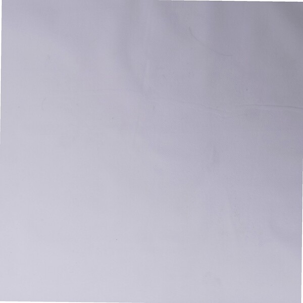 WERKAPRO - Voile d'hivernage blanc 60g-m2  2 x 10m - large