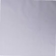 WERKAPRO - Voile d'hivernage blanc 60g-m2  2 x 10m - vignette