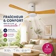 VOLTMAN - Ventilateur de plafond connecté + éclairage Ø105 cm - blanc et bois - Voltman - vignette