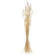 ATMOSPHERA - Bouquet de plantes séchées H78 cm - Multicolore - vignette