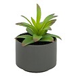 ATMOSPHERA - Plante grasse en pot H13 - vignette