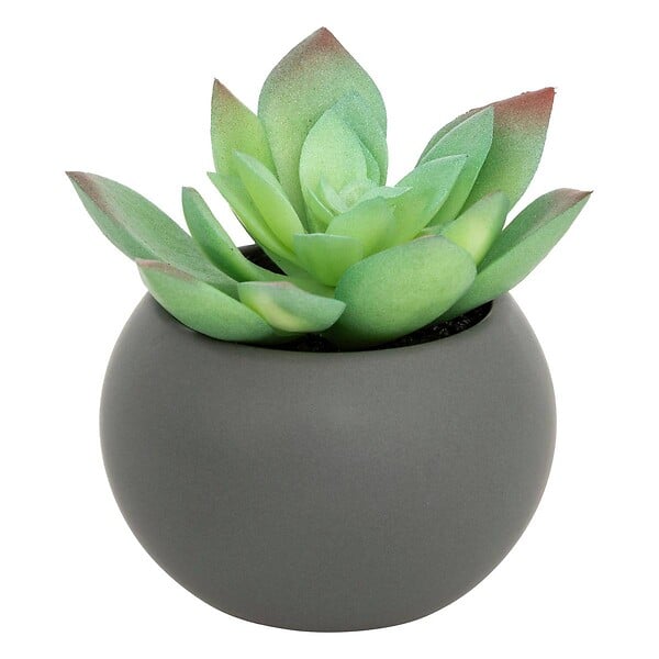 ATMOSPHERA - Plante grasse en pot H13 - large