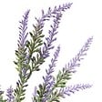 ATMOSPHERA - Bouquet de Lavande Prov H38 cm Violet - vignette