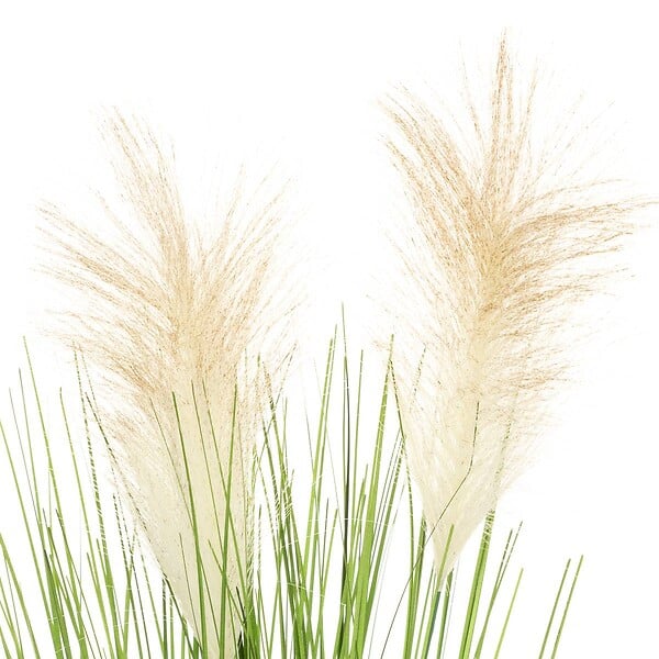 ATMOSPHERA - Plante artificielle "Plumeau" - pot en ciment - H70 cm - Blanc - large
