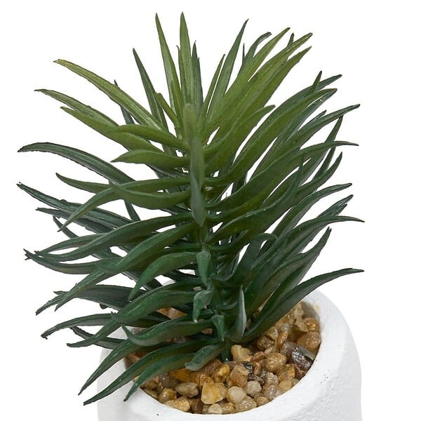 ATMOSPHERA - Plante artificielle Teri 9 cm avec Pot visage - large