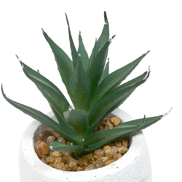 ATMOSPHERA - Plante artificielle Teri 9 cm avec Pot visage - large