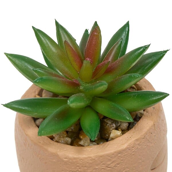 ATMOSPHERA - Plante artificielle Teri 9 cm avec Pot visage - large
