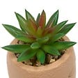 ATMOSPHERA - Plante artificielle Teri 9 cm avec Pot visage - vignette