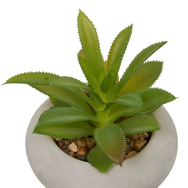 ATMOSPHERA - Plante artificielle en pot Stefi 9x9cm - large
